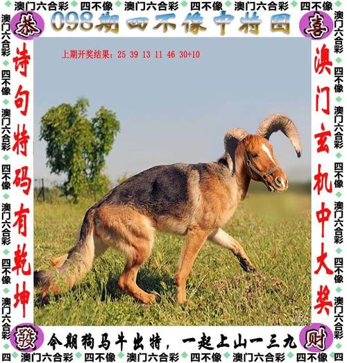 白小姐精准免费四肖2023年8月7日,精选释义、解释与落实与警惕虚假宣传