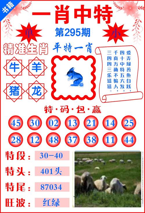 白小姐一肖一码今晚开奖最新消息,精选释义、解释与落实与警惕虚假宣传
