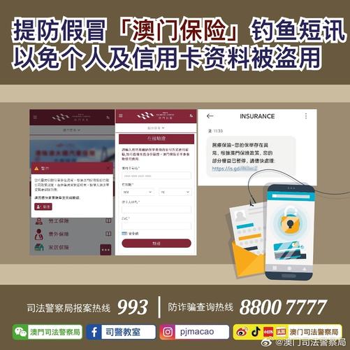 2024澳门历史记录查询结果,全面释义、专家解释与落实与警惕虚假宣传