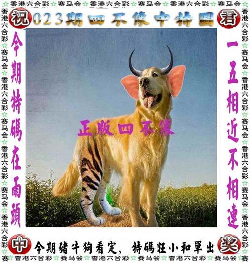 晚上澳门6合开彩查询查询,2025年最新实用信息汇总指南