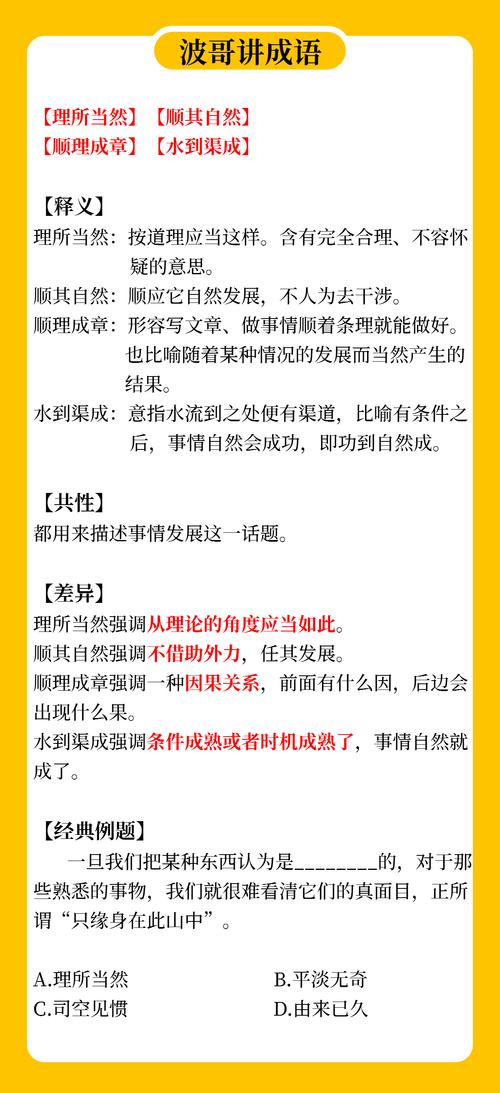 新奥天天全年免费大全,2025全面解析实用技巧分享