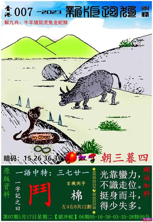 2024澳门历史记录查询跑马图查询,2025年最新实用信息汇总指南