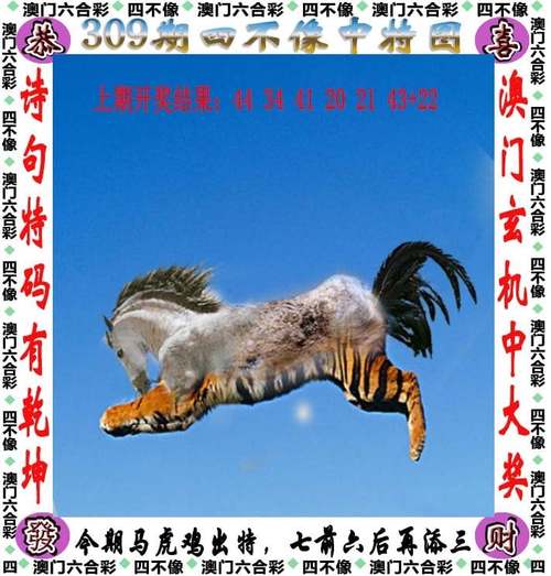 新2025澳门天天开好彩-2025全面解析实用技巧分享