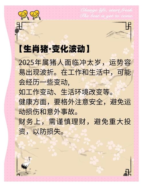 新2025澳门天天开好彩,2025全面解析实用技巧分享