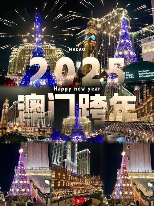 2025新澳门最精准免费大全,2025全面解析实用技巧分享